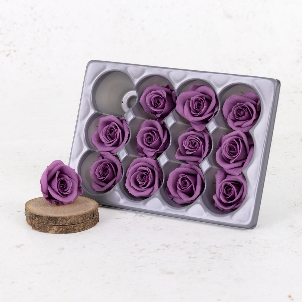 Rose Heads, Preserved, Mini, Lilac, Box 12