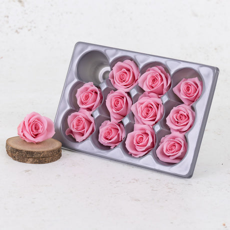 Rose Heads, Preserved, Mini, Pastel Pink, Box 12