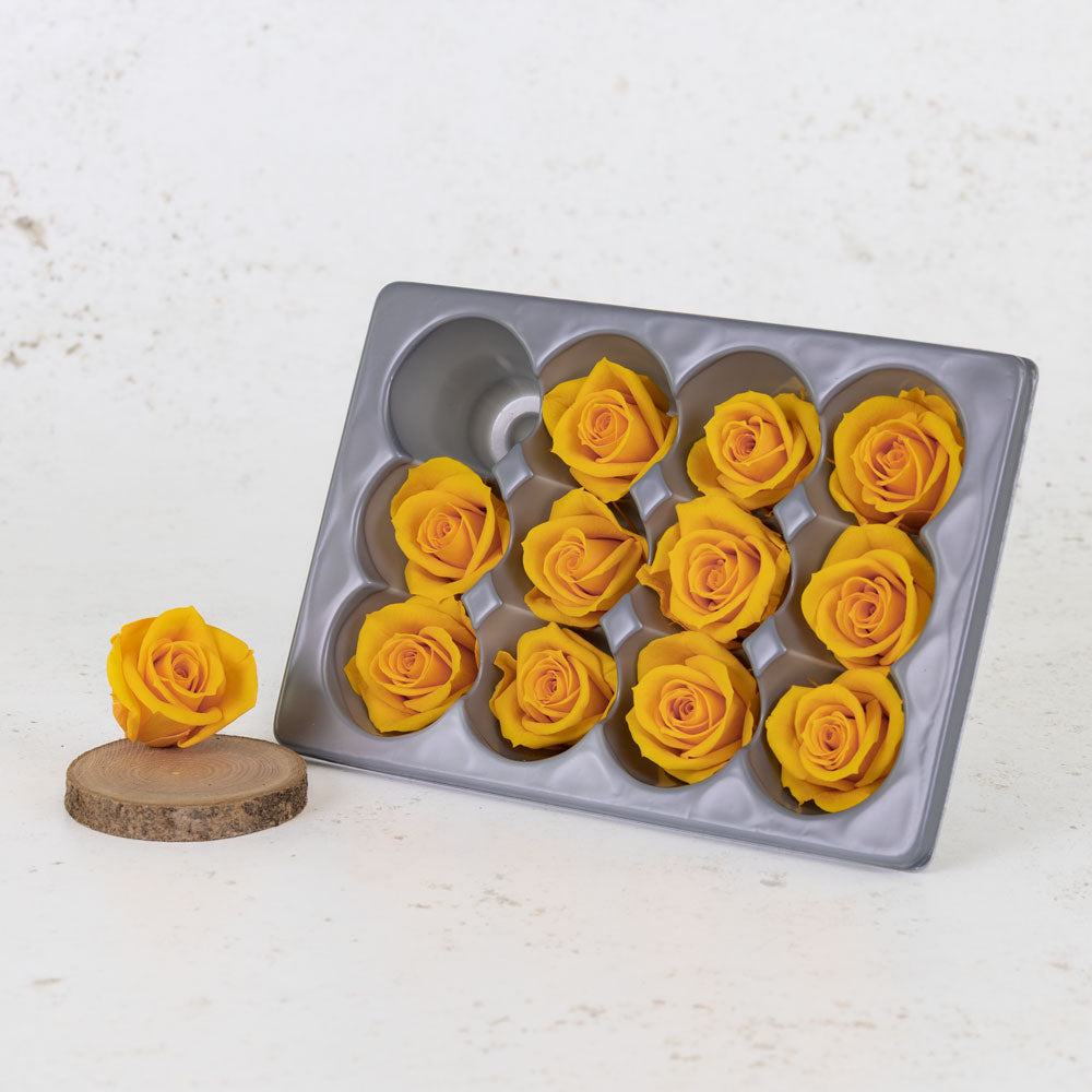 Rose Heads, Preserved, Mini, Warm Yellow, 12