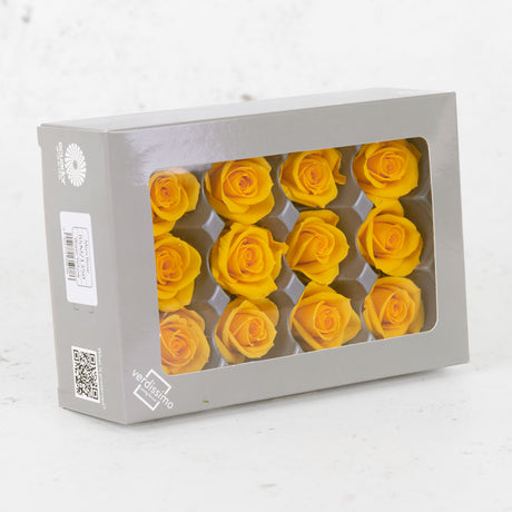 Rose Heads, Preserved, Mini, Warm Yellow, 12