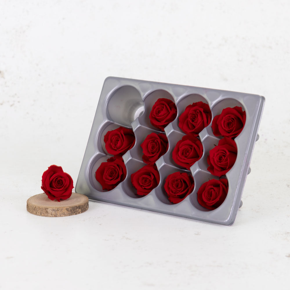 Rose Heads, Preserved, Mini, Red, 12