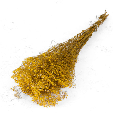 Gypsophila, Preserved, Yellow, 100g