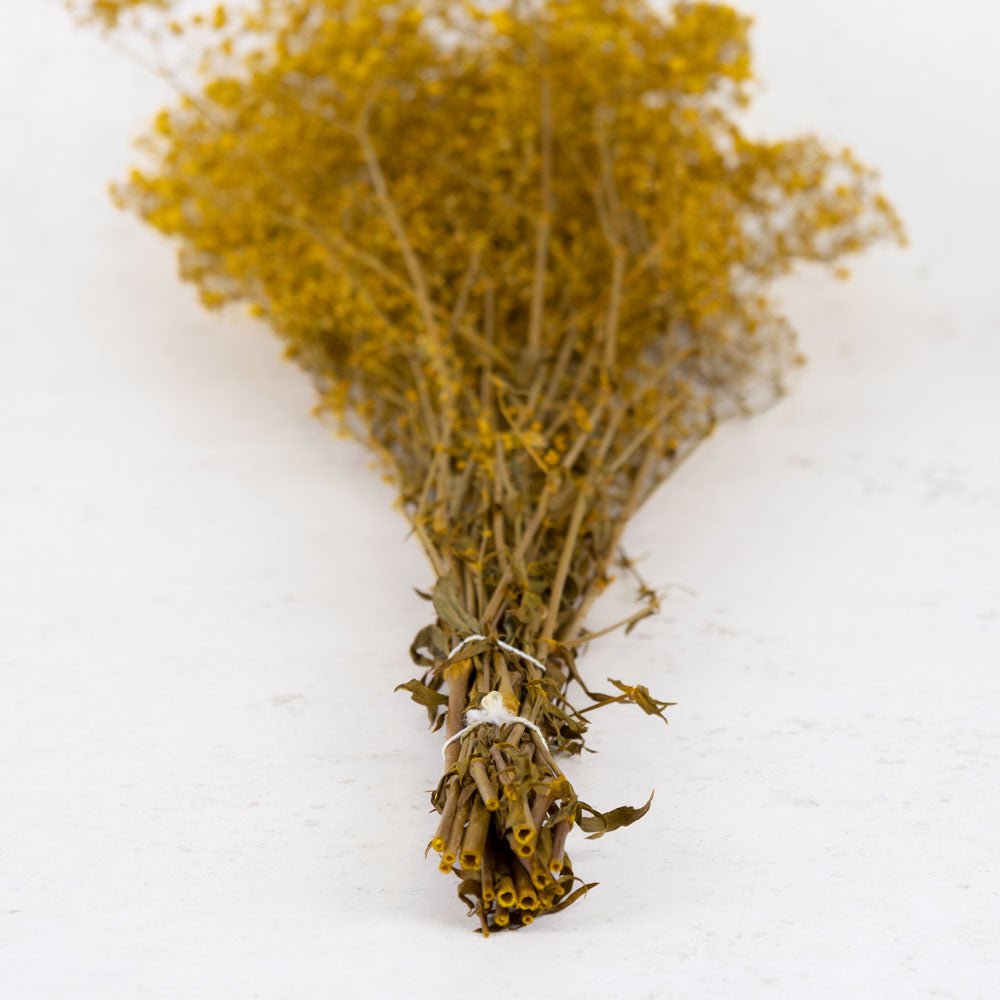 Gypsophila, Preserved, Yellow, 100g