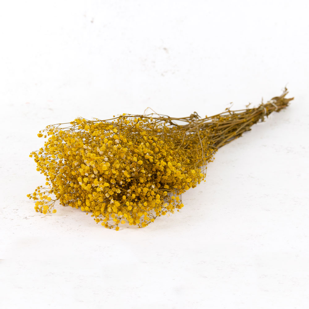 Gypsophila, Preserved, Yellow, 100g