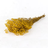 Gypsophila, Preserved, Yellow, 100g