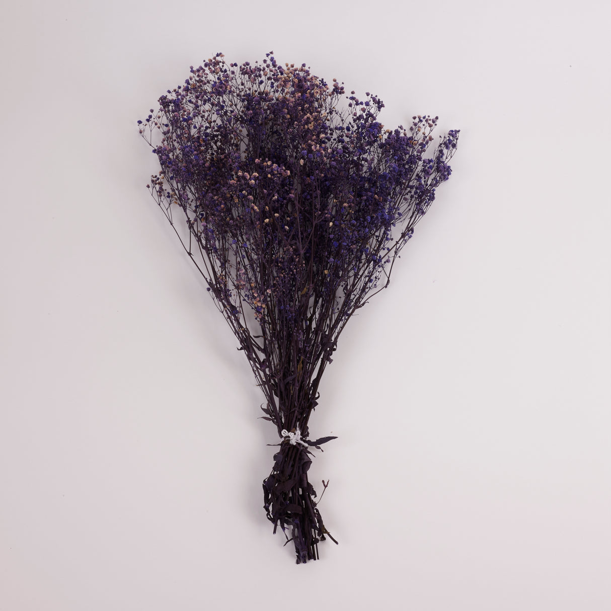 Gypsophila (Verdissimo), Preserved, Purple, 100g