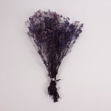Gypsophila (Verdissimo), Preserved, Purple, 100g