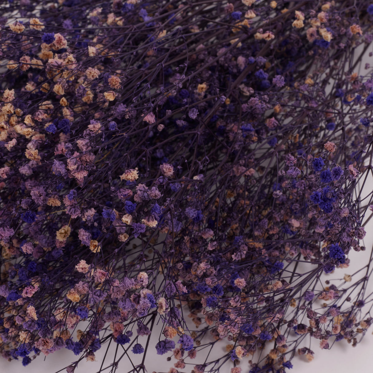 Gypsophila (Verdissimo), Preserved, Purple, 100g