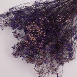 Gypsophila (Verdissimo), Preserved, Purple, 100g