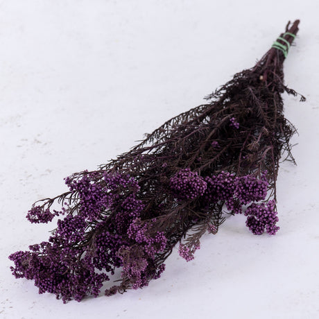 Diosmi (Rice Flower), Pres. Lilac, 120g