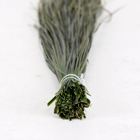 Bear Grass, Preserved, Green, 100g