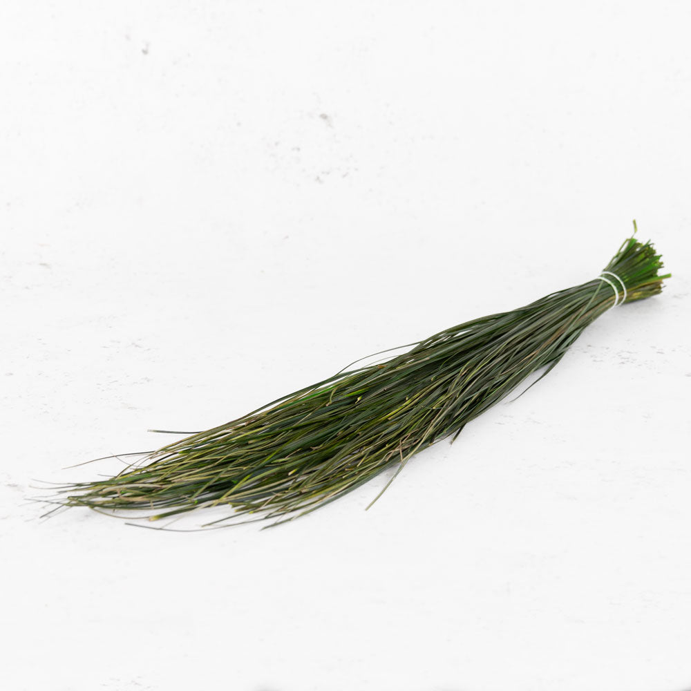 Bear Grass, Preserved, Green, 100g