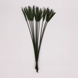Papyrus, Preserved, Green, Bunch x 10 Stems