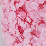 Hydrangea, Preserved, Pastel Pink, Bunch