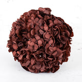 Hydrangea, Verdissimo Premium, Coffee