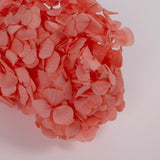 Hydrangea, (Verdissimo) Premium, Preserved, Coral Orange
