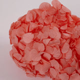 Hydrangea, (Verdissimo) Premium, Preserved, Coral Orange