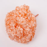 Hydrangea, (Verdissimo) Premium, Preserved, Light Orange