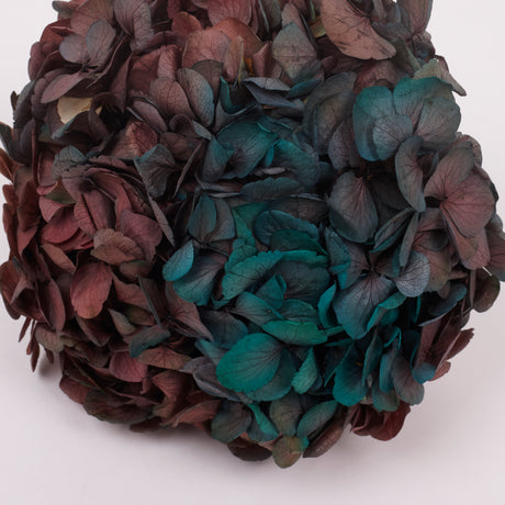 Hydrangea, (Verdissimo) Fusion, Preserved, Ocean