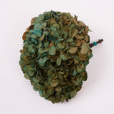 Hydrangea, (Verdissimo) Fusion, Preserved, Aurora