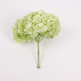 Hydrangea, (Verdissimo) Premium, Preserved, Citrus Green