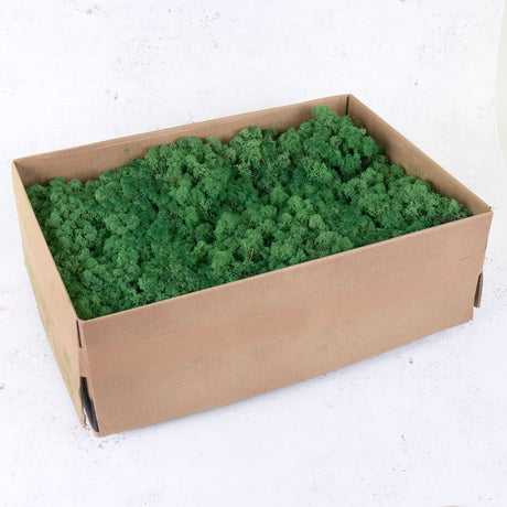 Icelandic Moss, Grass Green, 3kg