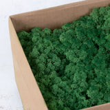 Icelandic Moss, Grass Green, 3kg