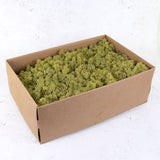 Icelandic Moss, Old Green, 3kg