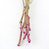 Gypsophila, Dried, Cerise, 5 Stem Bunch