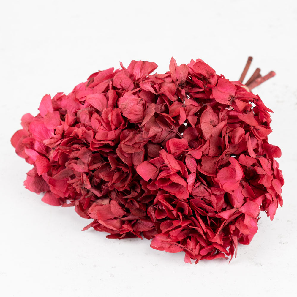 Hydrangea, Verdissimo, Preserved, Dark Pink