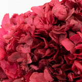 Hydrangea, Verdissimo, Preserved, Dark Pink