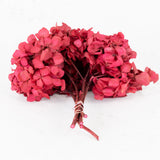 Hydrangea, Verdissimo, Preserved, Dark Pink