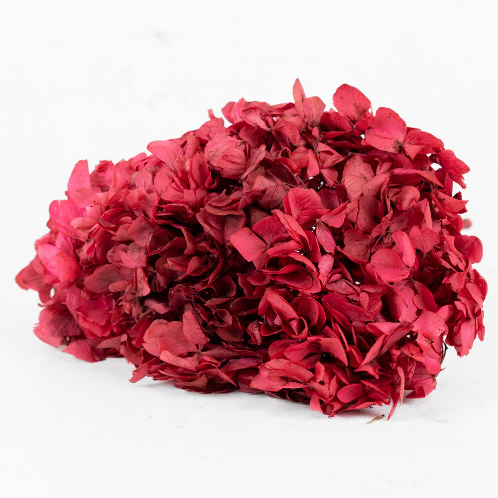 Hydrangea, Verdissimo, Preserved, Dark Pink