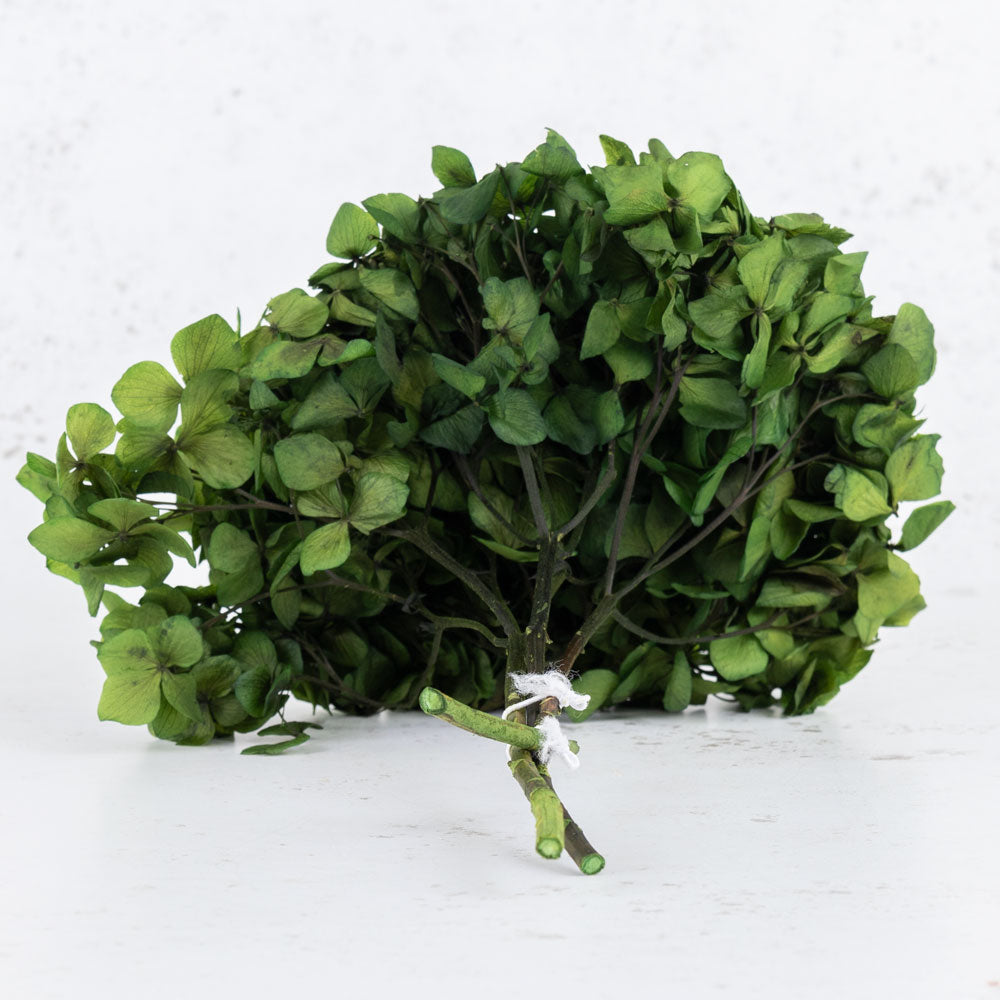 Hydrangea, Verdissimo, Preserved, Olive Green