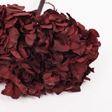 Hydrangea, (Verdissimo), Preserved, Merlot