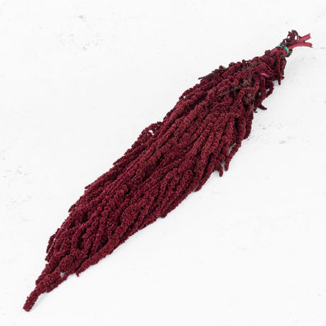 Amaranthus caudatus, Burgundy, 140g