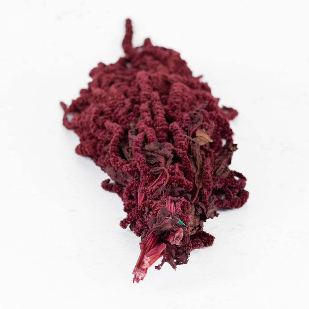 Amaranthus caudatus, Burgundy, 140g