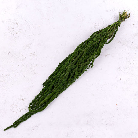 Amaranthus caudatus, Green, 140g