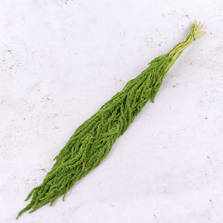 Amaranthus caudatus, Citron Green, 140g