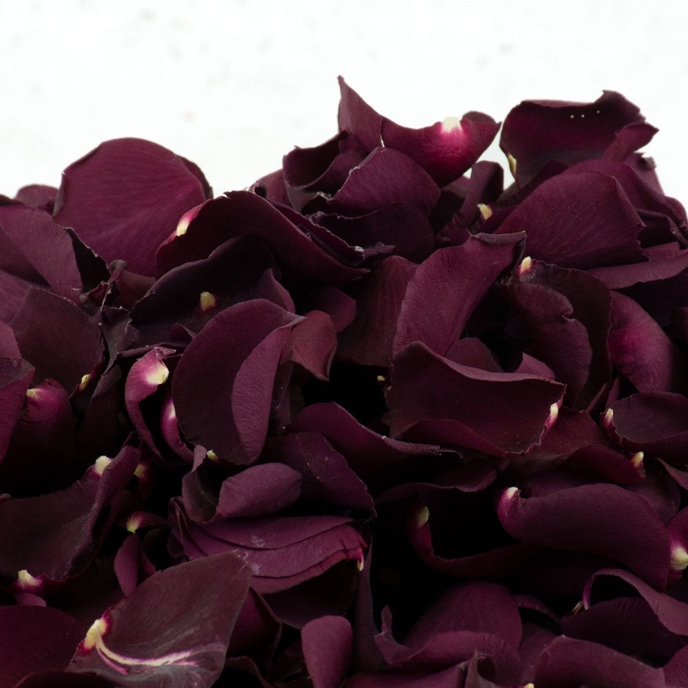 Rose Petals, Freeze Dried - Burgundy, 5L