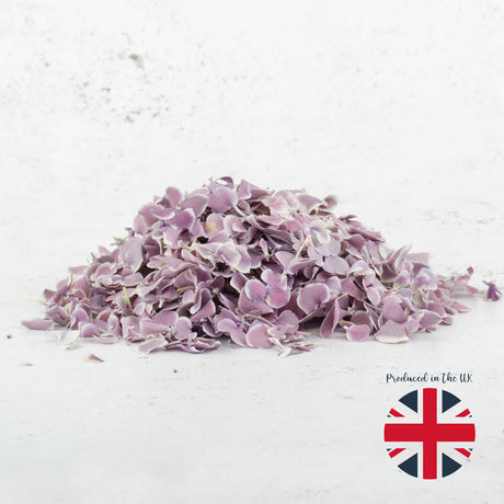Hydrangea Petals, Freeze Dried - Violet/White, 5L