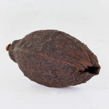 Cacao Pod, Natural, 12-18cm, Bag of 10