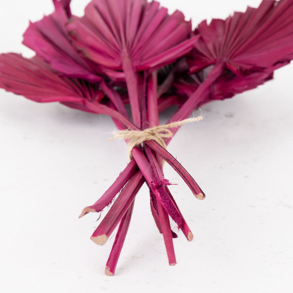 Palm Spear, Cerise Pink, Bunch x 10 Stems