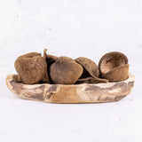 Buddha Nut, Natural, Bag x 5 pcs