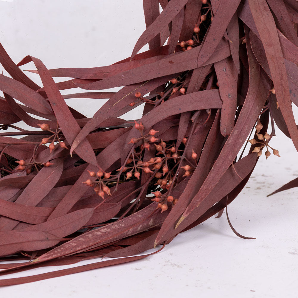 Eucalyptus Wreath, Nicoli, Red, 27cm Diameter