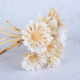 Protea Repens, Dried, Bleached, Bunch x 10