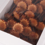 Protea Suzanna flats, Cream, Tray x 70 Stems