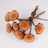 Protea Suzanna flats, Cream, Bunch x 10 stems