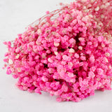 Gypsophila, Preserved, 70cm Bunch, Pink