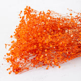 Gypsophila, Preserved, 70cm Bunch, Orange